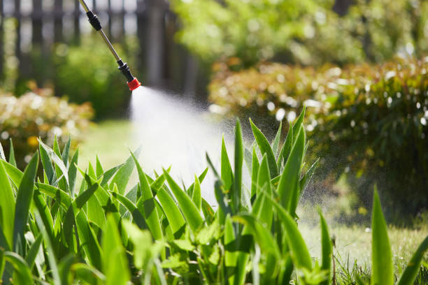 Tamper-Resistant Bait Stations for Rodents in Glendale
